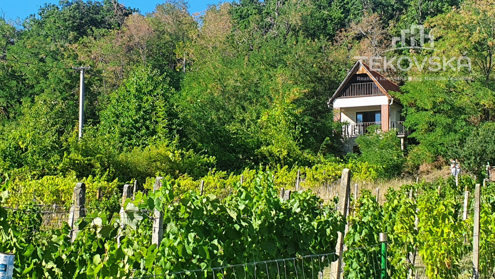 Viničný domček s pozemkom- Ladice