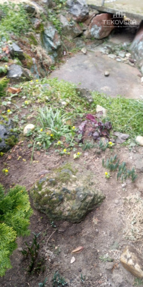 PREDANÉ - ZNÍŽENÁ CENA - Rodinný dom Sľažany