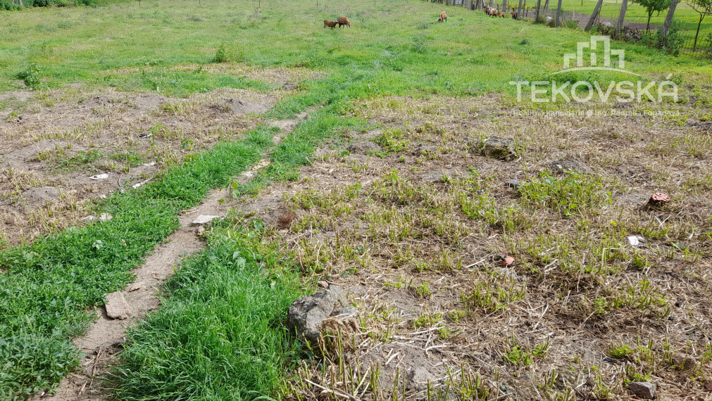 Historická nehnuteľnosť s potenciálom