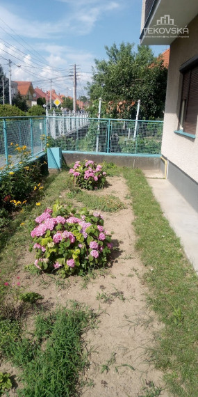 Znížená cena Rodinný dom Pribinova Zl. Moravce