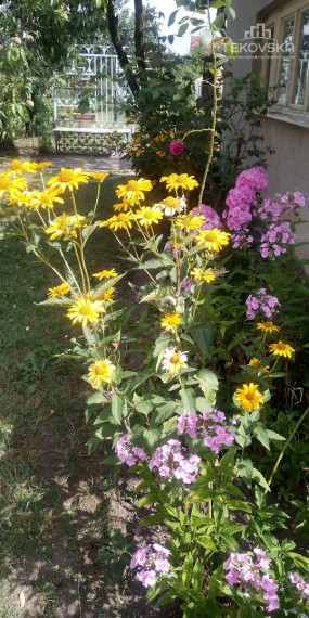 Znížená cena Rodinný dom Pribinova Zl. Moravce