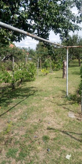 Znížená cena Rodinný dom Pribinova Zl. Moravce