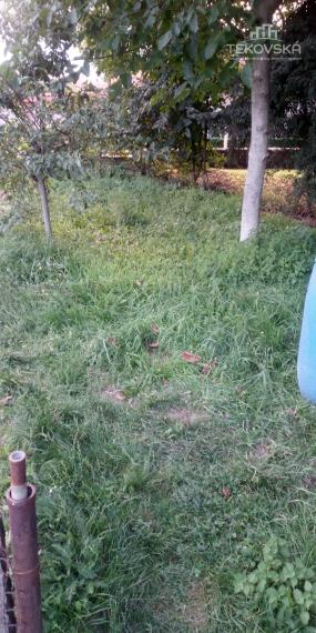 Znížená cena - 3-izbový byt so záhradkou a garážou Lovce