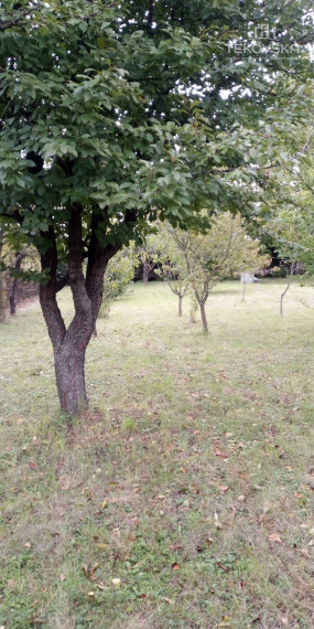 Znížená cena -  Pozemok - Zlaté Moravce- ul. Dlhá-Bernolákova