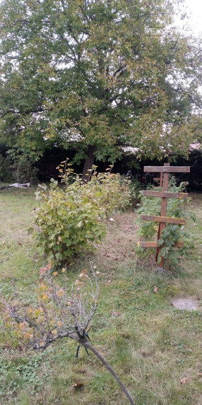 Znížená cena -  Pozemok - Zlaté Moravce- ul. Dlhá-Bernolákova