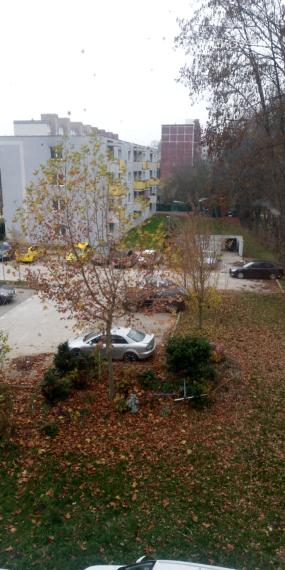 NOVINKA- 2-IZB. BYT ZM- výhodná cena