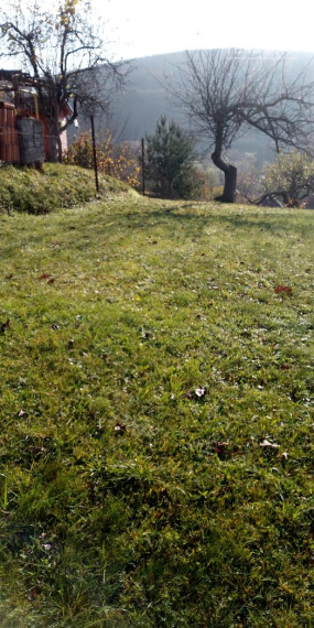 NOVINKA- chalupa Hostie