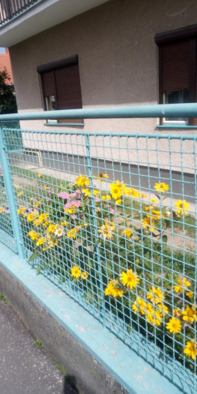 Znížená cena Rodinný dom Pribinova Zl. Moravce