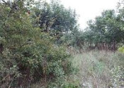 Dom s veľkým pozemkom vhodný na výstavbu bytovky - fotografia 4