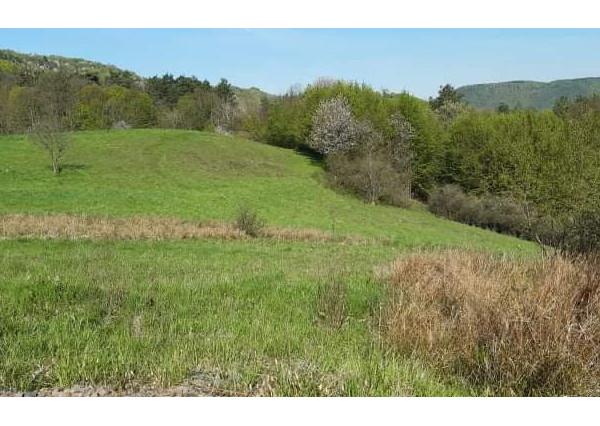 Rekreačný Pozemok na predaj v obci Horne Hámre