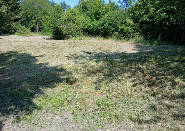 Na predaj pozemok Tekovské Nemce