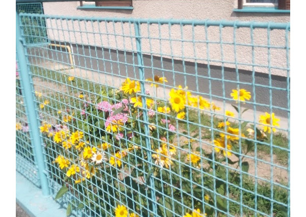 Znížená cena Rodinný dom Pribinova Zl. Moravce