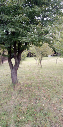 Znížená cena-  Pozemok - Zlaté Moravce- Bernolákova - fotografia 8